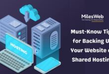 Website on Shared Hosting
